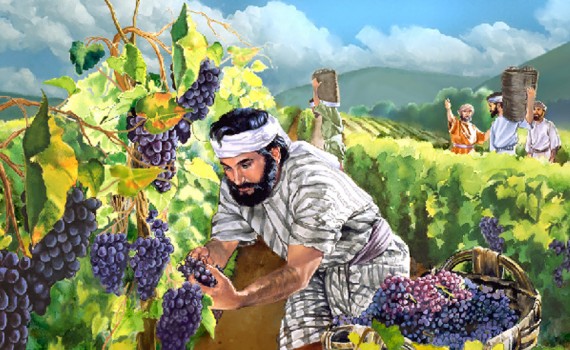 San Lorenzo Parrocchia IT - ECHI DI VITA 2023 N 39 - Copertina